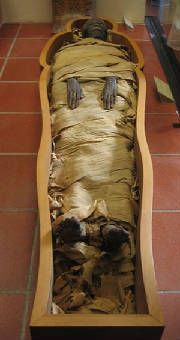Mummy_jpg_w180h340.jpg