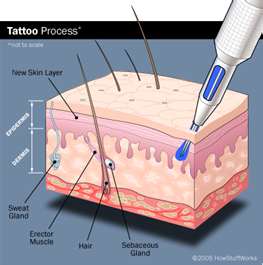 tattooprocessfaq1.jpg